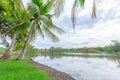 The landscap park and grass in city Royalty Free Stock Photo