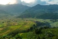 Landscap rice harvest.Mu cang chai,Yenbai,Vietnam.