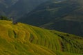 Landscap rice harvest.Mu cang chai,Yenbai,Vietnam.