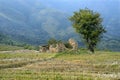 Landscape- Abandoned house at a valley down Western ghats Royalty Free Stock Photo