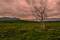 The landscape of Abisko National park in Northern Sweden as seen from Paddus viewpoint in the direction of Tornetrask lake in