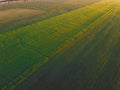Landscape aerial photo of beautiful agriculture field of cereals during sunset Royalty Free Stock Photo