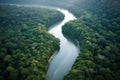 Landscape Aerial View of Wide and Long River in the Middle of the Jungle Forest extreme closeup. Generative AI