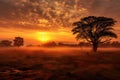 Landscape of african savanna at sunrise with tree and fog, Sunrise over the savanna and grass fields in central Kruger National Royalty Free Stock Photo