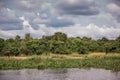 Landscape in the African Savannah with giraffe and elephant, view from a boat floating on the Nile river