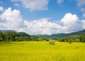 Landscape of agricultural areas of people in Chom Thong district, Chiang Mai, Thailand from the top of the mountain in the morning