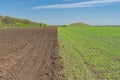 Landscape with an agricultural field divided on two section - arable one and winter crops one Royalty Free Stock Photo