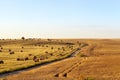 agricultural field Royalty Free Stock Photo