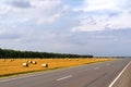 Landscape of the agricultural field and highway