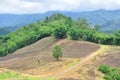 Landscape of agricultural field with mountain, Agriculture scene, Forest destruction