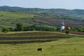 Landscape with agricultural fields, little charming church and cows grazing in Transylvania, Romania