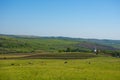 Landscape with agricultural fields, little charming church and cows grazing in Transylvania, Romania