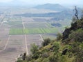 Mixed agricultural landscape in central Chile Royalty Free Stock Photo