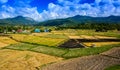 Landscape agriculture farm after harvest.