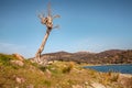 Landscape in Alentejo and the hill Village Monsaraz Royalty Free Stock Photo