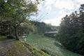 Landscape in alishan mountian Royalty Free Stock Photo