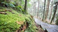 Landscape in alishan mountian Royalty Free Stock Photo