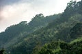 Landscape in alishan mountian Royalty Free Stock Photo