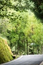 Landscape in alishan mountian Royalty Free Stock Photo