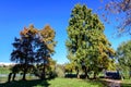 Landscape with alley surrounded by vivid green, yellow and orange trees, plants trees and grass in a sunny autumn day in Parcul