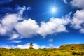 Landscape alone tree and field under blue sky Royalty Free Stock Photo