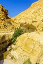 Landscape along the Arugot stream, in Ein Gedi Nature Reserve Royalty Free Stock Photo