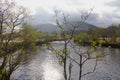 Glenfinnan -dragonfly trail - callop river - No 1