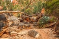 Standley Chasm track to Standley Chasm Gorge and Larapinta Trail Royalty Free Stock Photo