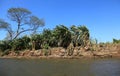 Landscape along the Tarcoles River Royalty Free Stock Photo