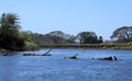 Landscape along the Tarcoles River Royalty Free Stock Photo