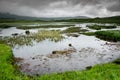 Landscape along the West highland Way in Scotland. Royalty Free Stock Photo