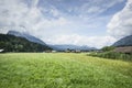 Landscape in the Alps with fresh green meadows and blooming flowers and snowcapped mountain tops in the background Royalty Free Stock Photo