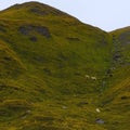 Landscape of Alps mountains Grossglockner National Park Hohe Tauern, Austria Royalty Free Stock Photo