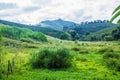 Landscape in Alto JequitibÃÂ¡, Minas Gerais, Brasil