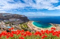 Landscape with Amadores beach