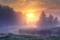 Landscape of amazing summer nature in early foggy morning on sunrise. Trees on river bank in mist on warm sunlight background