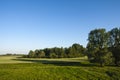 Landscape at Amerongse Berg Royalty Free Stock Photo