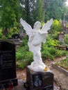 Landscape. An ancient crypt of white stone. The statue of a woman with wings that holds a musical instrument is displayed. Around