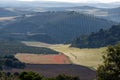 Landscape of the Andalusian countryside in spring at dawn, with large expanses of olive trees and cultivated cereal fields Royalty Free Stock Photo