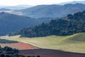 Landscape of the Andalusian countryside in spring at dawn, with large expanses of olive trees and cultivated cereal fields Royalty Free Stock Photo