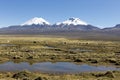 Landscape of the Andes Mountains, with llamas grazing.