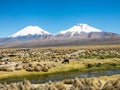 Landscape of the Andes Mountains, with llamas grazing