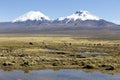 Landscape of the Andes Mountains, with llamas grazing.