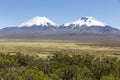 Landscape of the Andes Mountains, with llamas grazing.