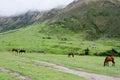 Landscape in Andes. Salkantay Trekking, Peru.