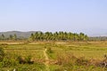 Landscape in Andhra Pradesh