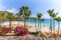 Landscape with Anfi beach, Gran Canaria Royalty Free Stock Photo