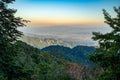 Landscape of Angkhang mountain with wild Himalayan Cherry flower Royalty Free Stock Photo