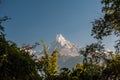 Landscape with Annapurna South, Hiunchuli and Machapuchare Fishtail Peaks surrounded by trees. Himalaya Mountains, Nepal Royalty Free Stock Photo