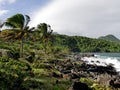 landscape of anse grande ravine in trois rivieres, guadeloupe